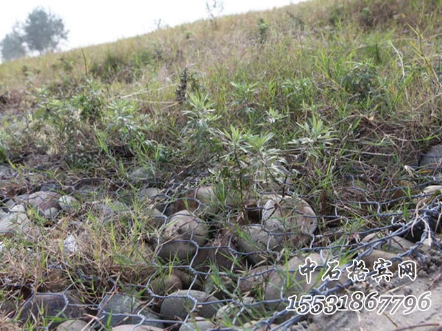 格賓石籠護岸